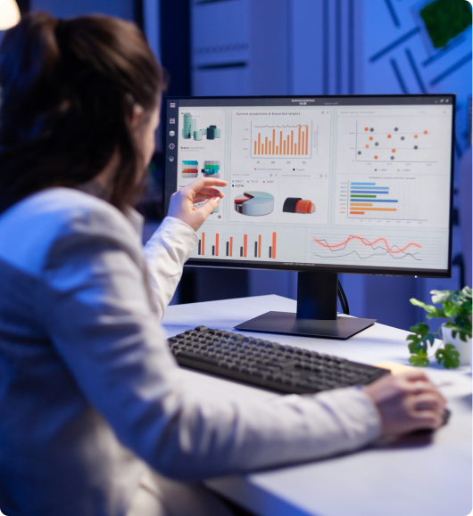 Analyst reviewing website performance dashboards